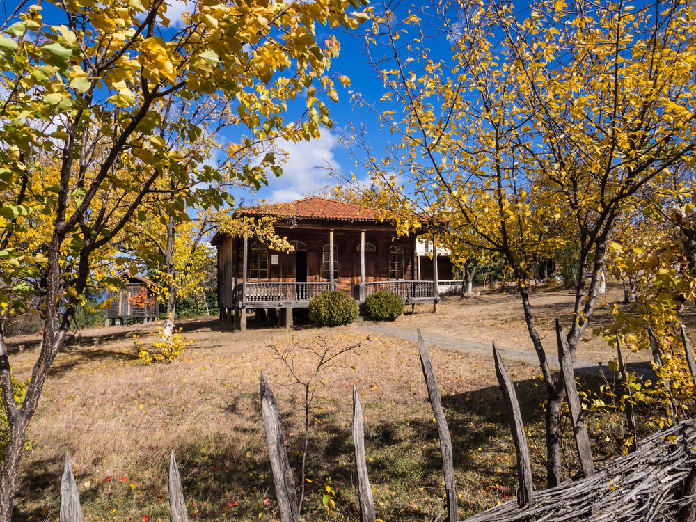 Explore Georgian History at the Ethnographic Museum